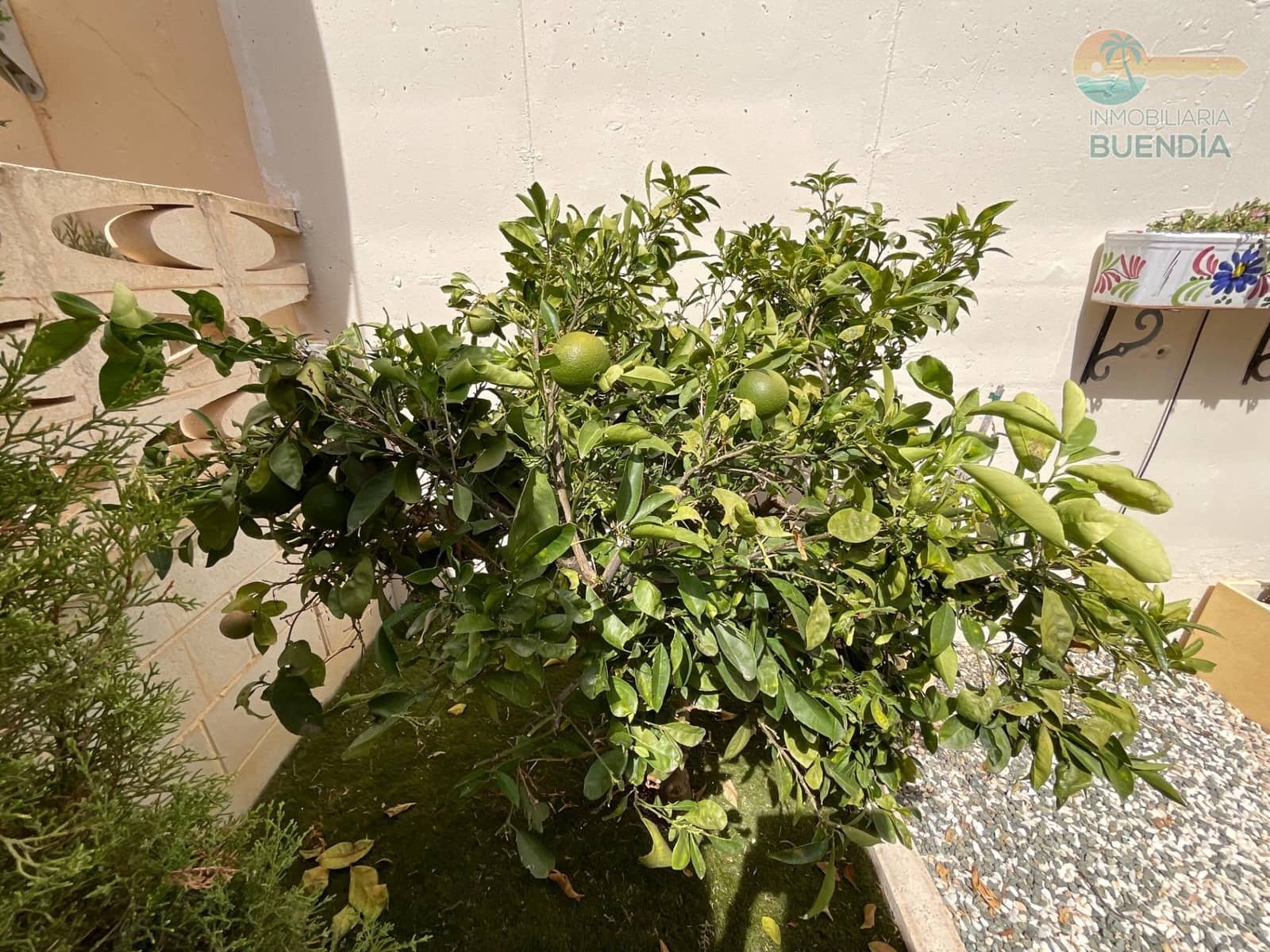 3 soverom Villa til salgs i Alamillo - € 285 000 (Ref: 9230883)