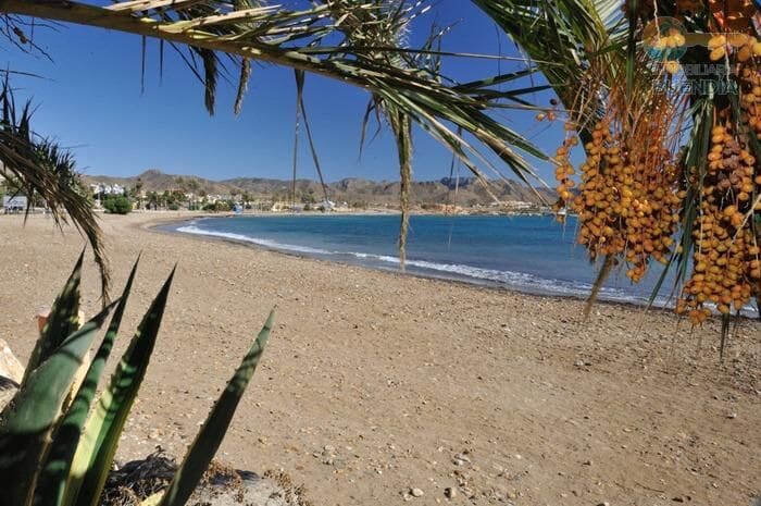 3 soveværelse Villa til salg i Alamillo - € 279.000 (Ref: 9230883)