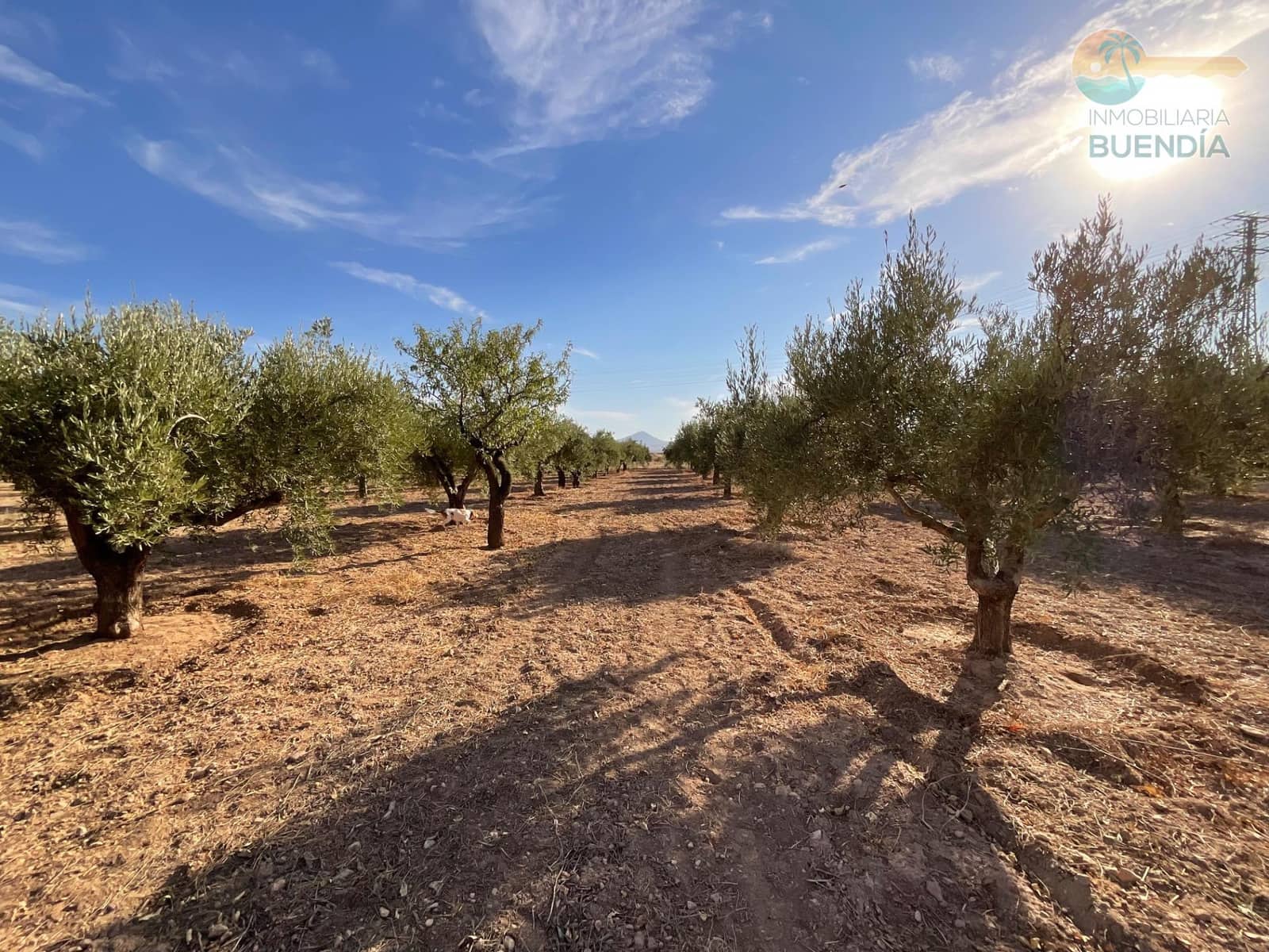 4 bedroom Finca/Country House for sale in Hacienda del Alamo with garage - € 365,000 (Ref: 9247355)