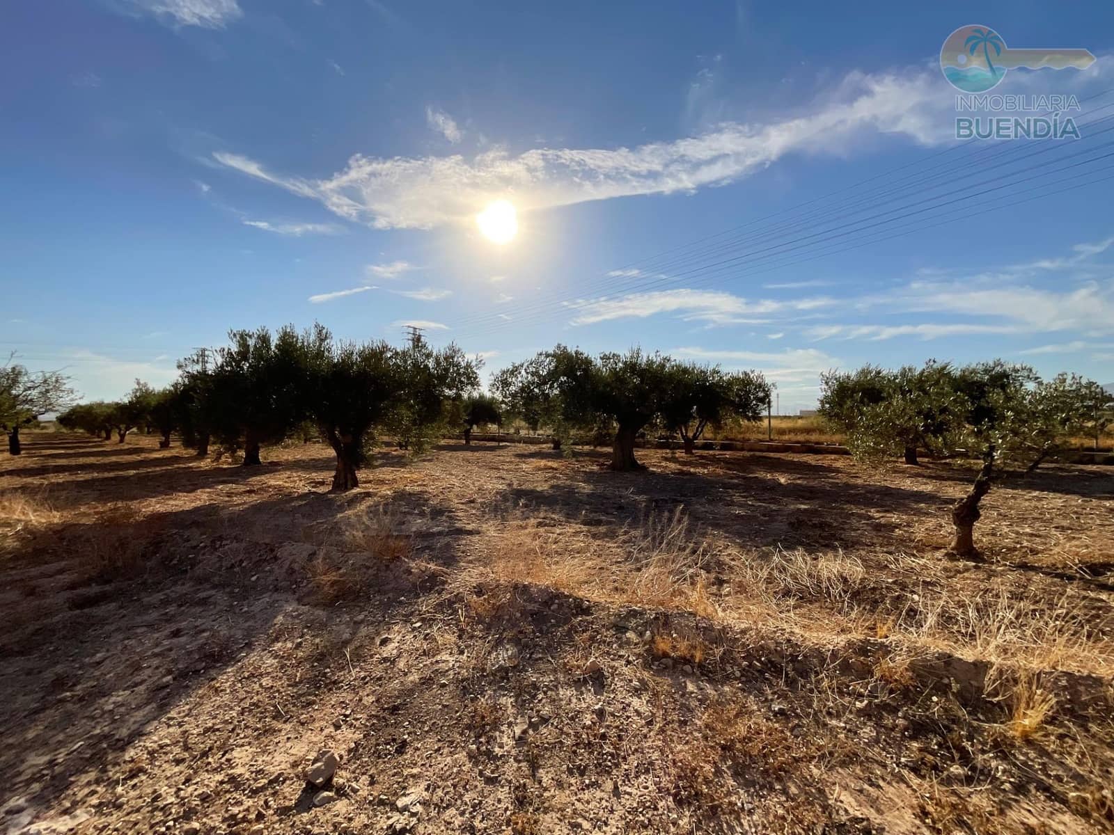 4 bedroom Finca/Country House for sale in Hacienda del Alamo with garage - € 365,000 (Ref: 9247355)