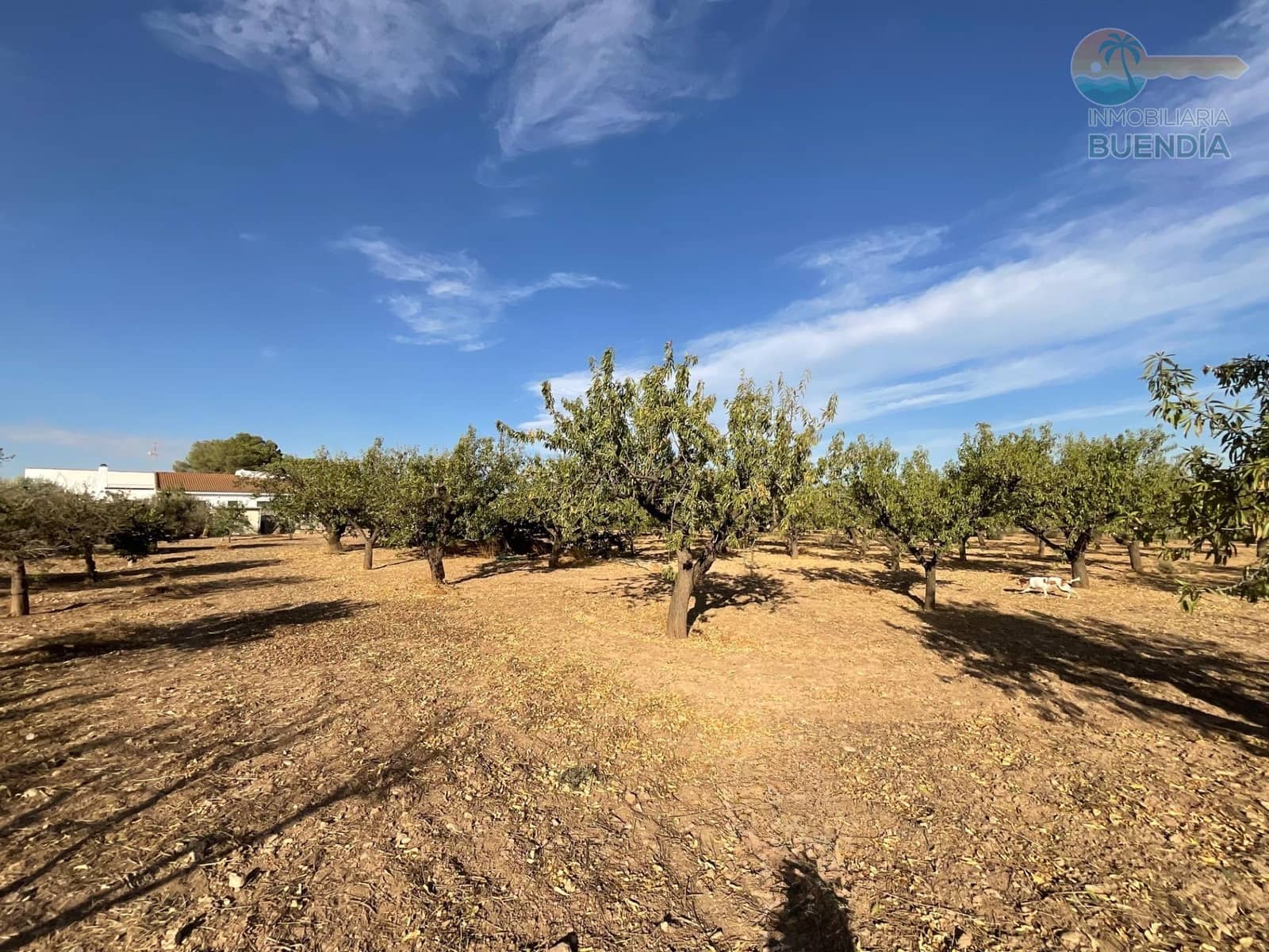 4 bedroom Finca/Country House for sale in Hacienda del Alamo with garage - € 365,000 (Ref: 9247355)
