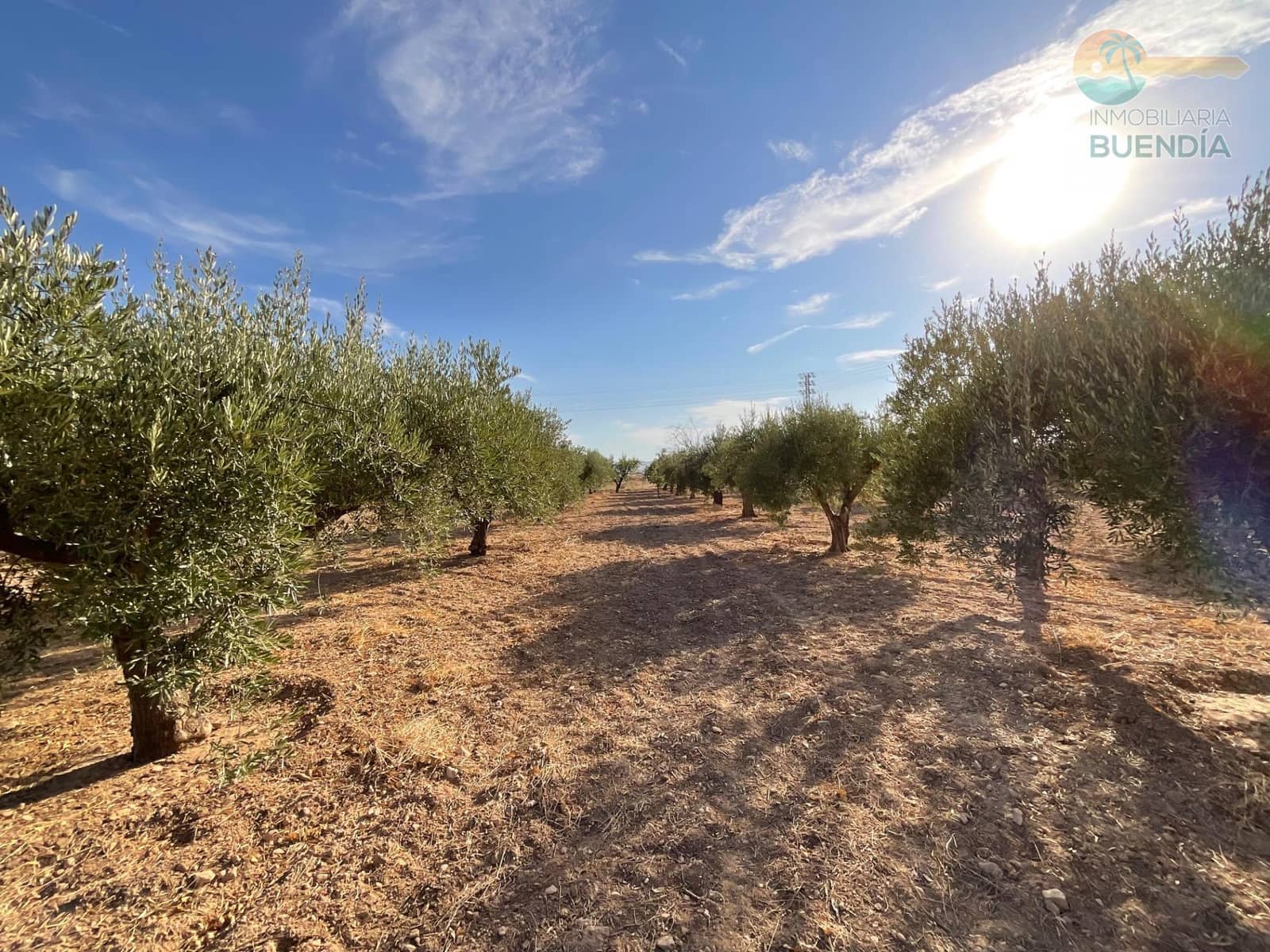 4 bedroom Finca/Country House for sale in Hacienda del Alamo with garage - € 365,000 (Ref: 9247355)