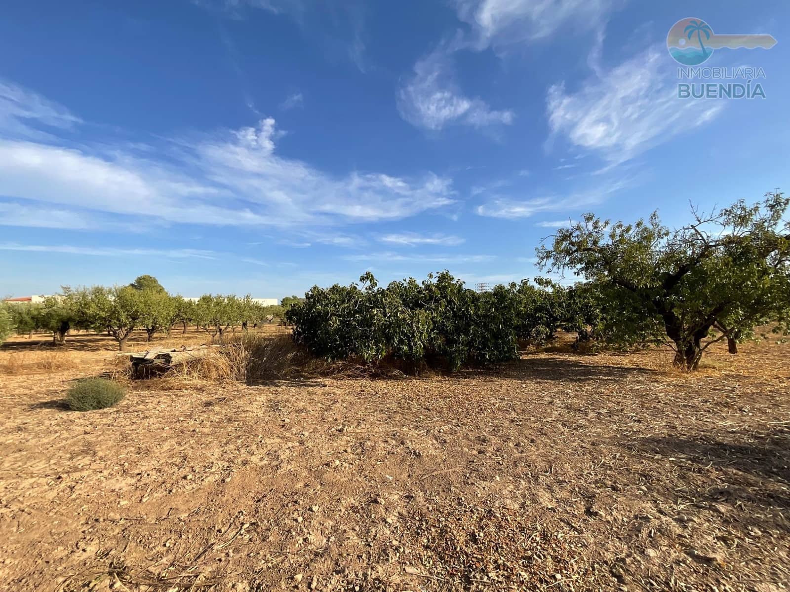 4 bedroom Finca/Country House for sale in Hacienda del Alamo with garage - € 365,000 (Ref: 9247355)