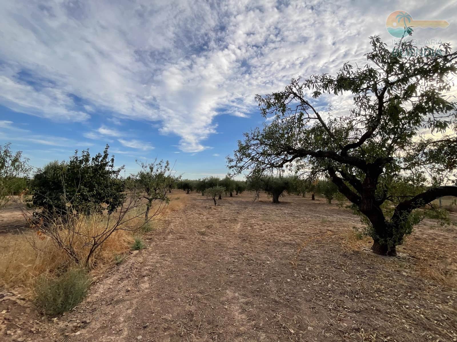 4 bedroom Finca/Country House for sale in Hacienda del Alamo with garage - € 365,000 (Ref: 9247355)