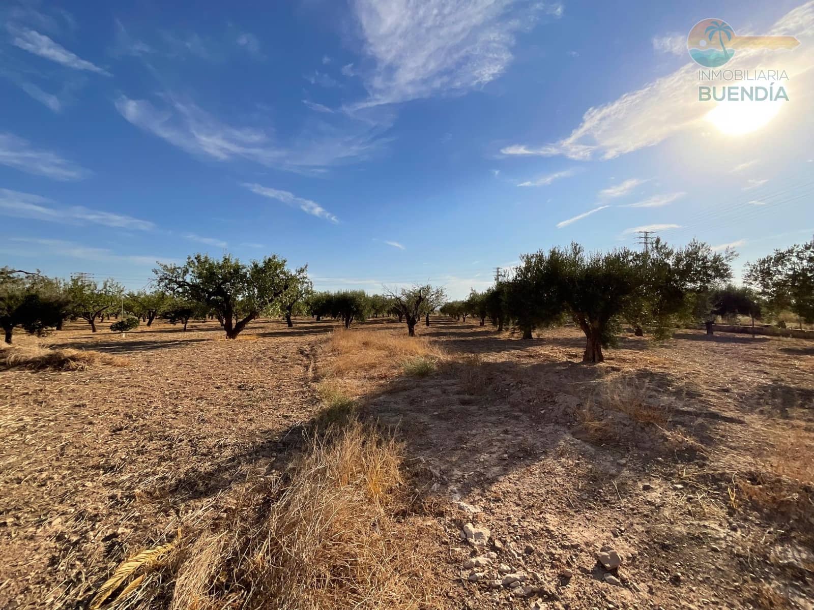 4 soveværelse Finca/Landehus til salg i Hacienda del Alamo med garage - € 365.000 (Ref: 9247355)