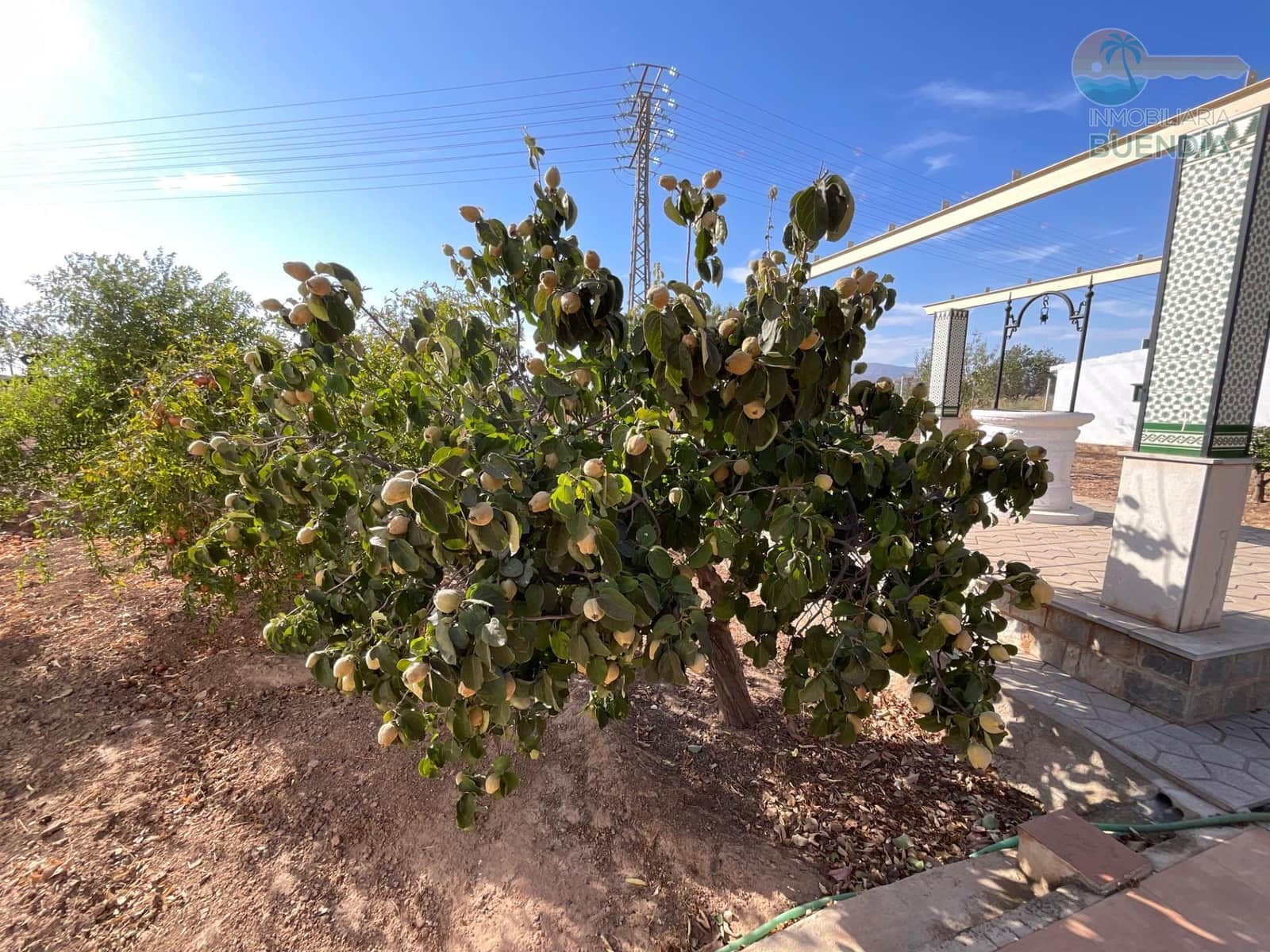 4 soveværelse Finca/Landehus til salg i Hacienda del Alamo med garage - € 365.000 (Ref: 9247355)