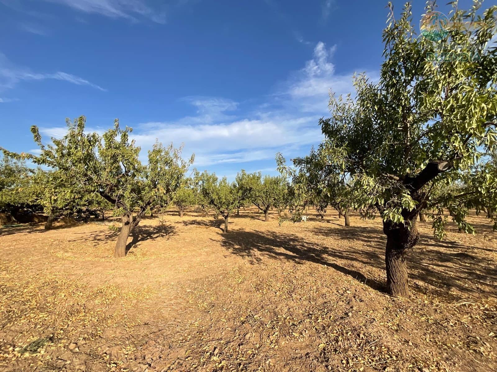 4 soveværelse Finca/Landehus til salg i Hacienda del Alamo med garage - € 365.000 (Ref: 9247355)