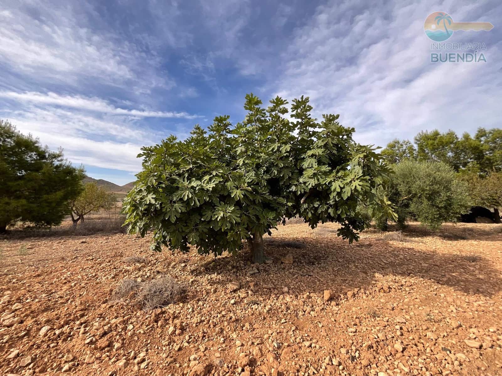 4 soveværelse Finca/Landehus til salg i Fuente Alamo de Murcia - € 125.000 (Ref: 9269821)