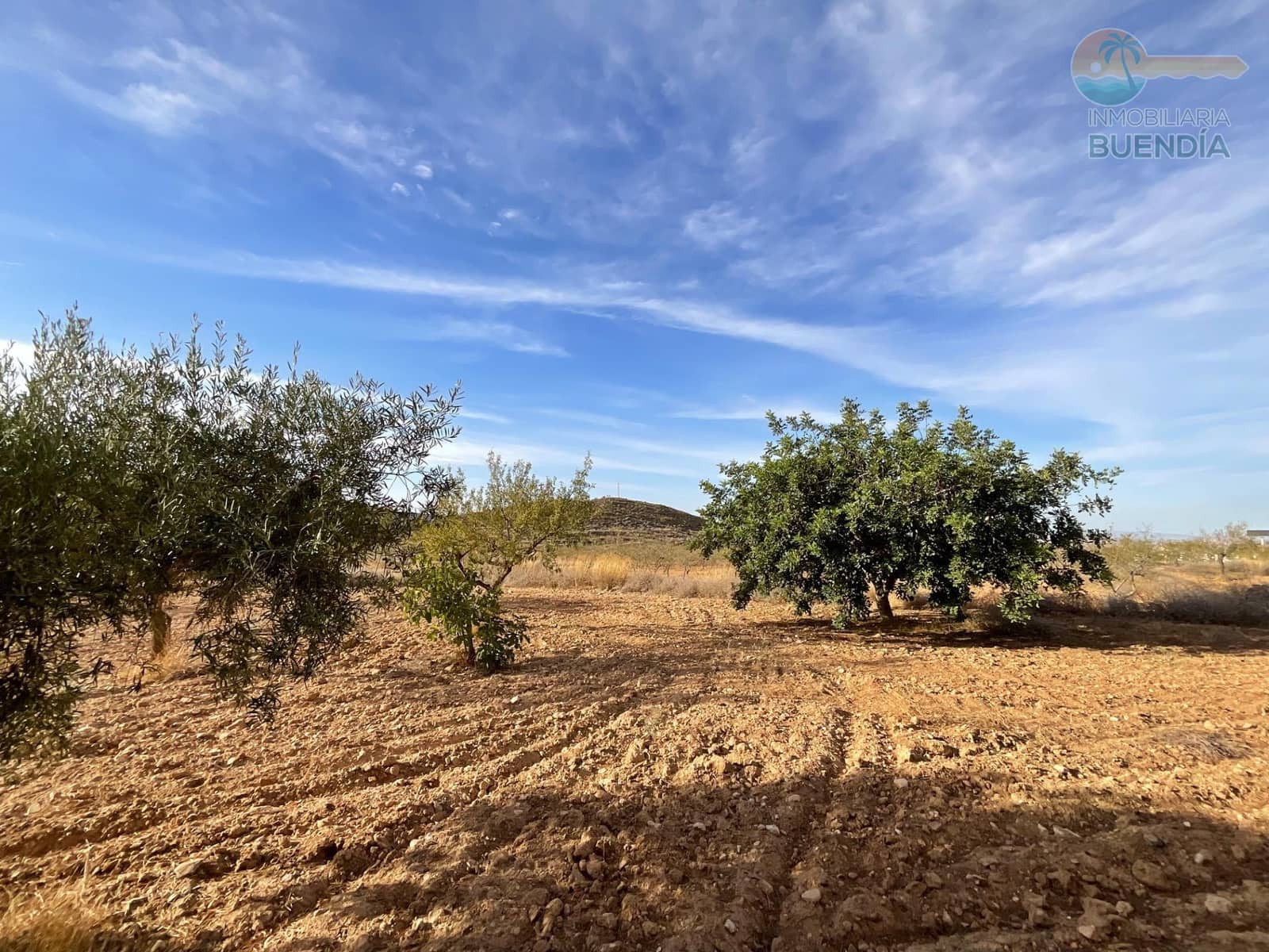 4 soveværelse Finca/Landehus til salg i Fuente Alamo de Murcia - € 125.000 (Ref: 9269821)