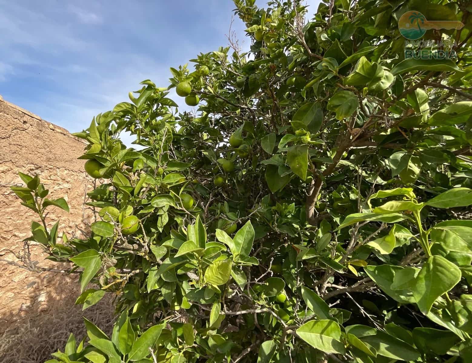 4 soveværelse Finca/Landehus til salg i Fuente Alamo de Murcia - € 125.000 (Ref: 9269821)