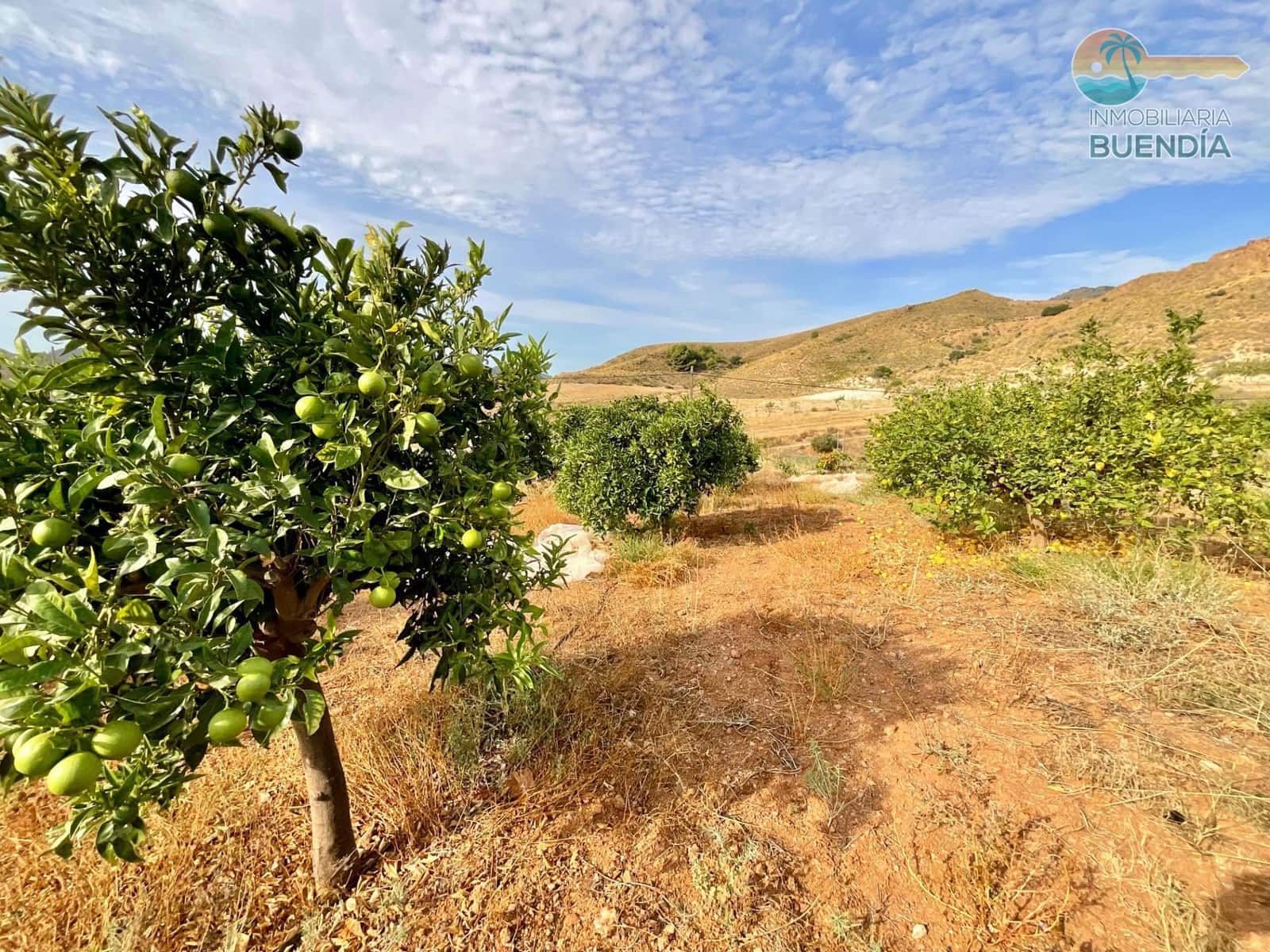 3 soveværelse Finca/Landehus til salg i Almendricos - € 370.000 (Ref: 9291688)