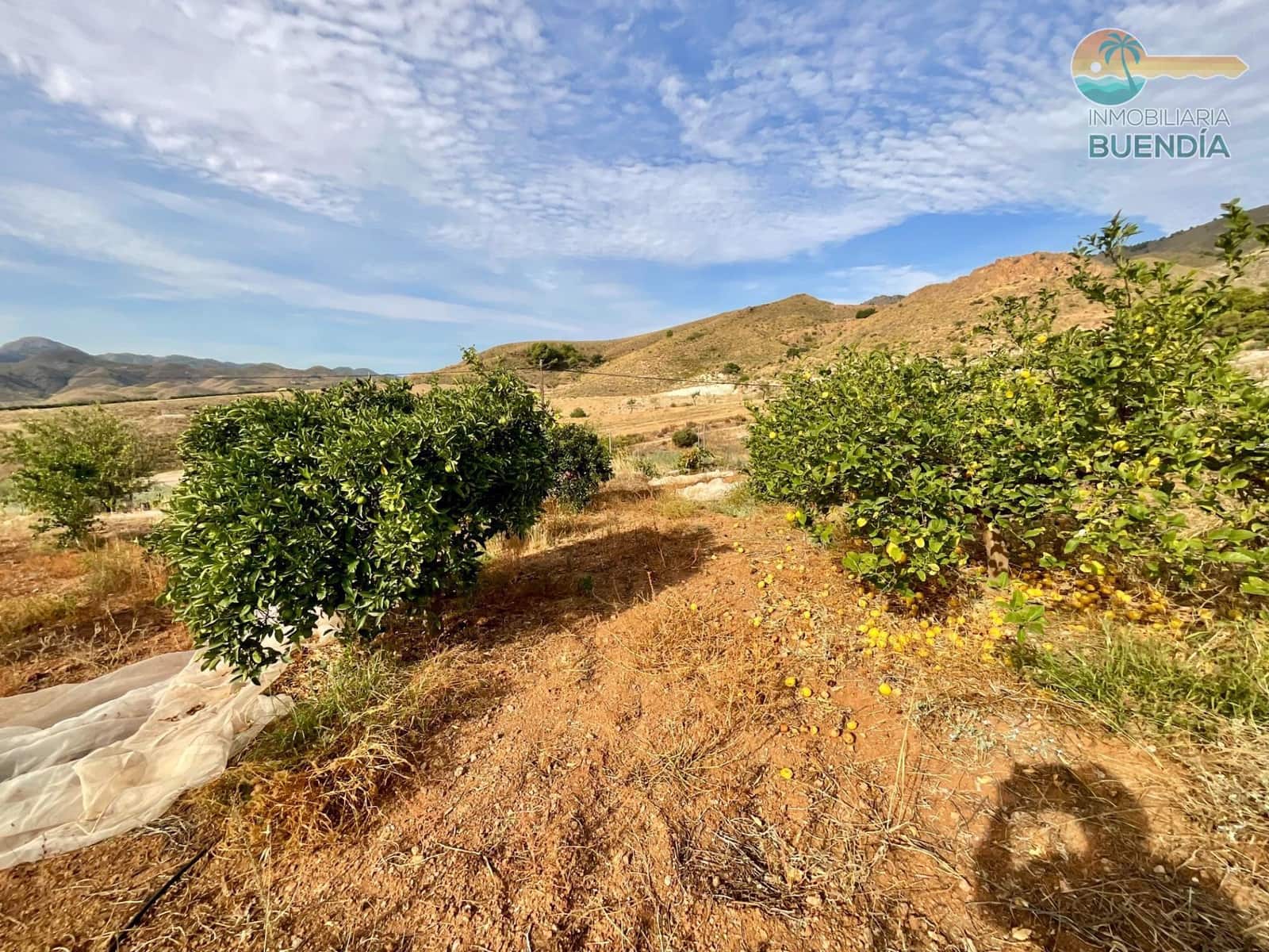 3 soveværelse Finca/Landehus til salg i Almendricos - € 370.000 (Ref: 9291688)