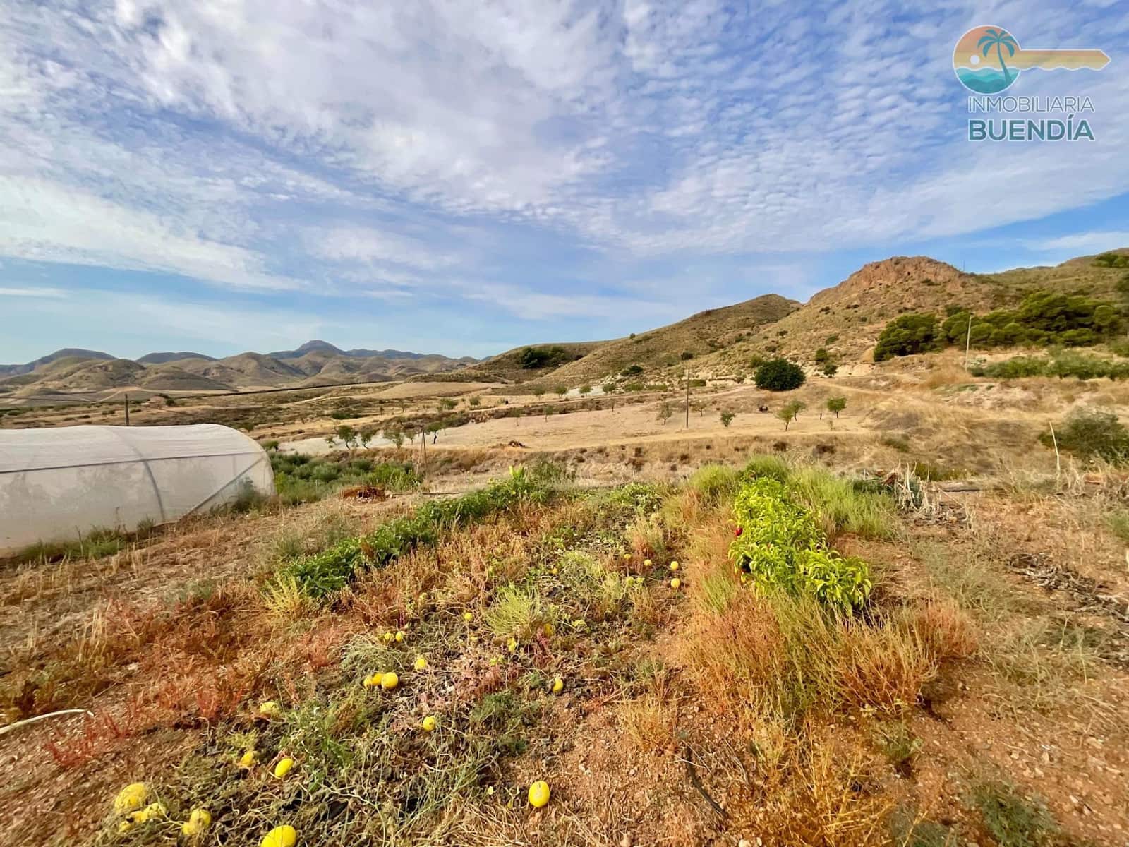 3 soveværelse Finca/Landehus til salg i Almendricos - € 370.000 (Ref: 9291688)