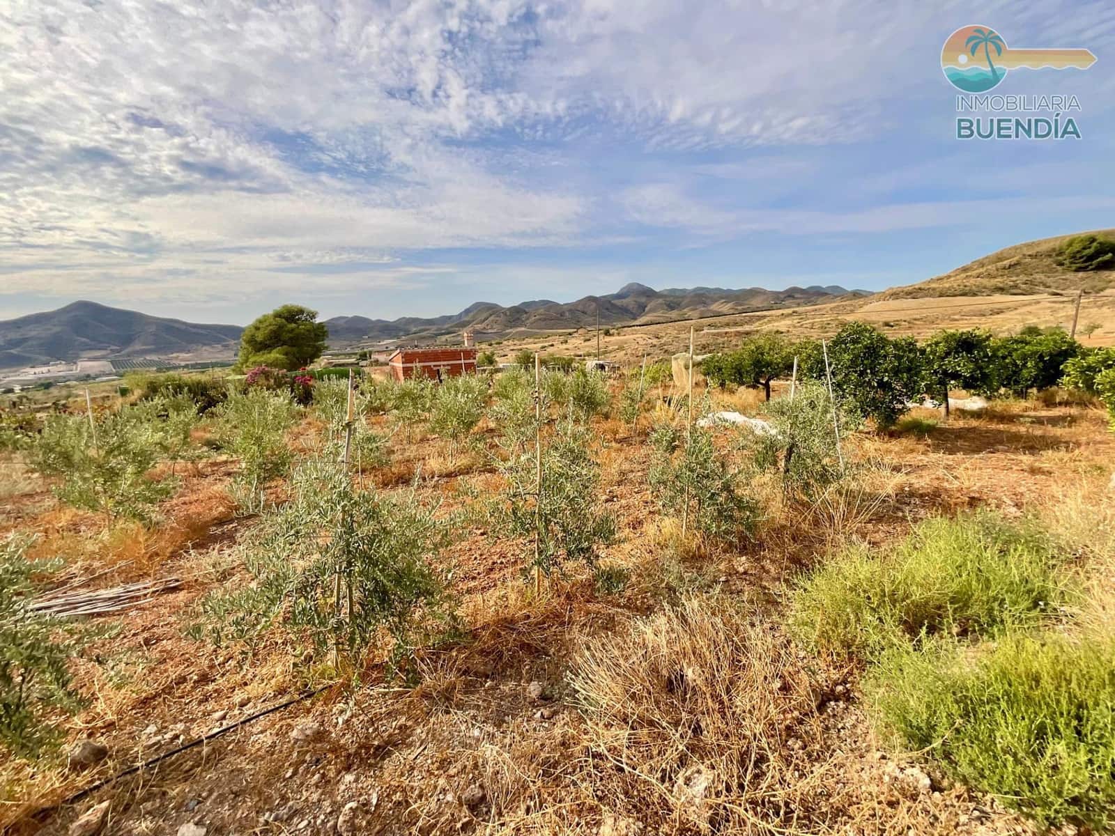 3 soveværelse Finca/Landehus til salg i Almendricos - € 370.000 (Ref: 9291688)