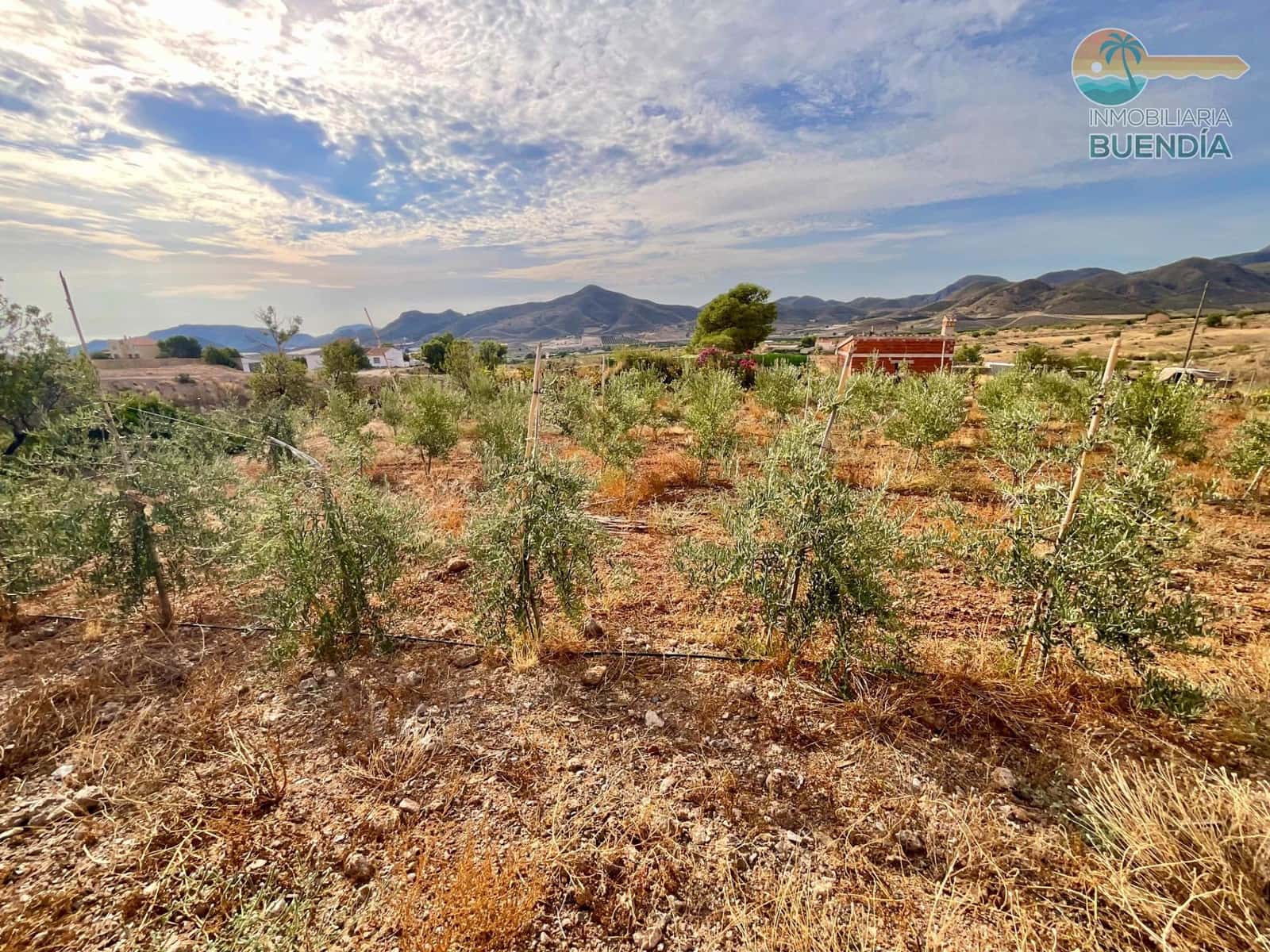3 soveværelse Finca/Landehus til salg i Almendricos - € 370.000 (Ref: 9291688)