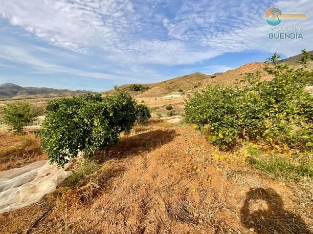 3 quarto Quinta/Casa Rural para venda em Morata, Lorca - 370 000 € (Ref: 9291688)