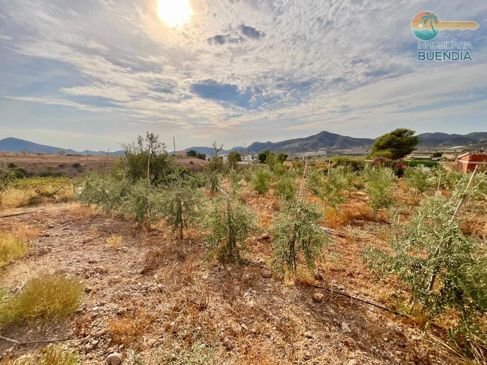 3 camera da letto Finca/Casa di Campagna in vendita in Morata - 370.000 € (Rif: 9291688)