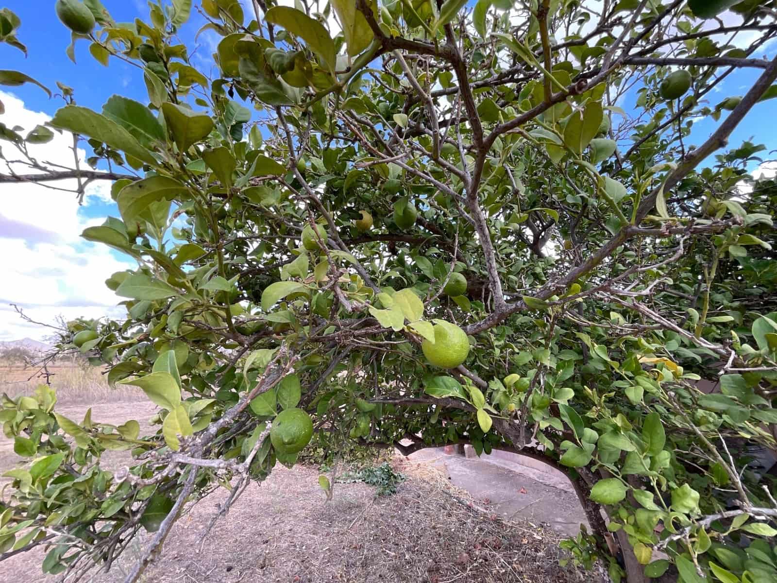 4 sypialnia Finka/Dom wiejski na sprzedaż w La Magdalena z garażem - 310 900 € (Ref: 9305184)