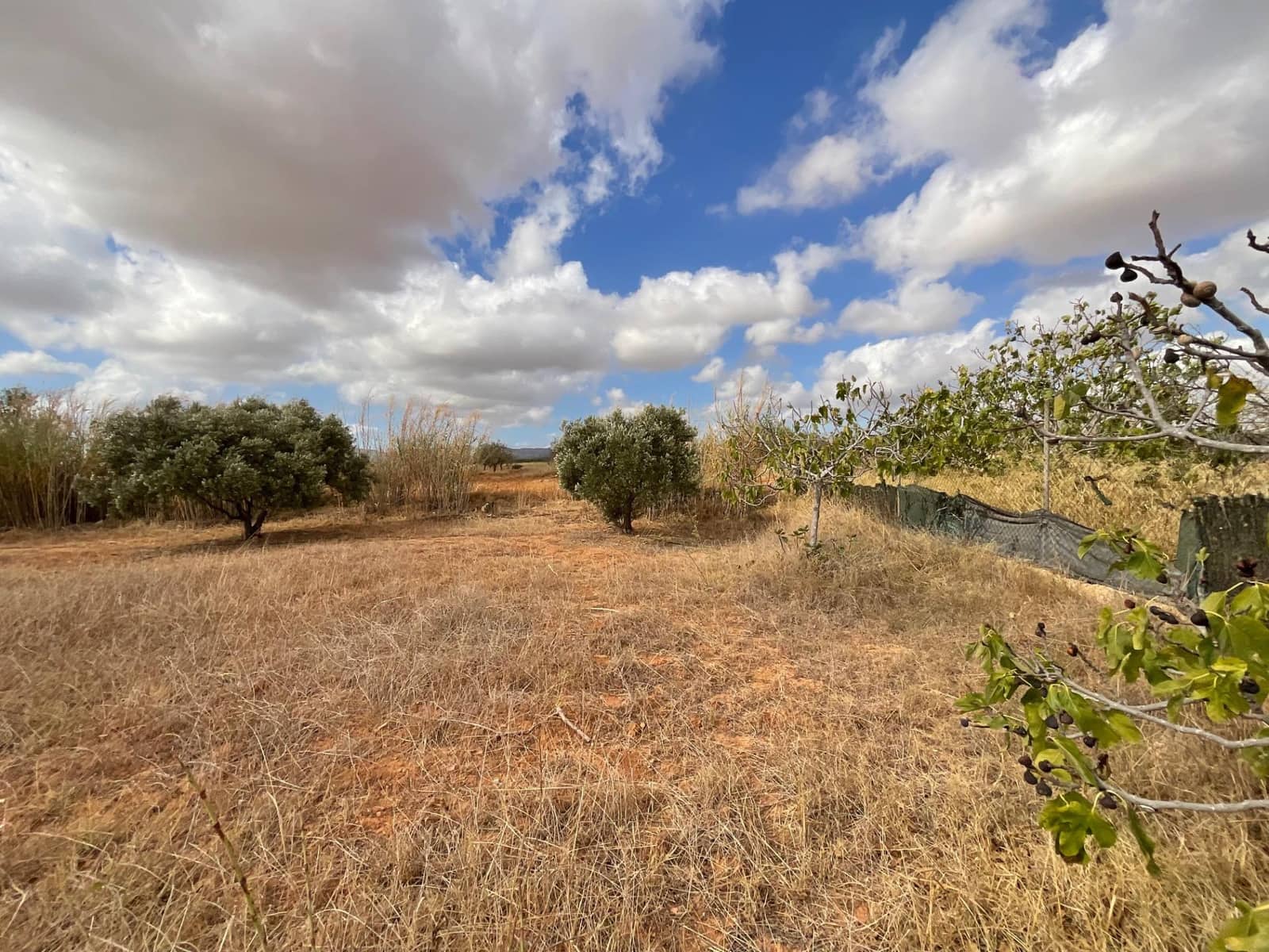 4 Zimmer Finca/Landgut zu verkaufen in La Magdalena mit Garage - 310.900 € (Ref: 9305184)