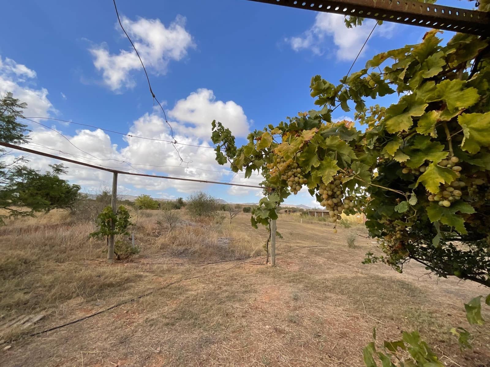 4 bedroom Finca/Country House for sale in La Magdalena with garage - € 304,900 (Ref: 9305184)