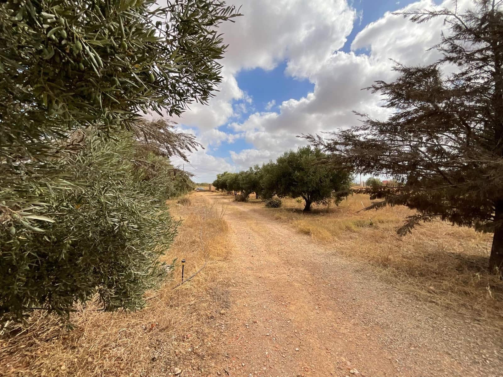 4 bedroom Finca/Country House for sale in La Magdalena with garage - € 304,900 (Ref: 9305184)