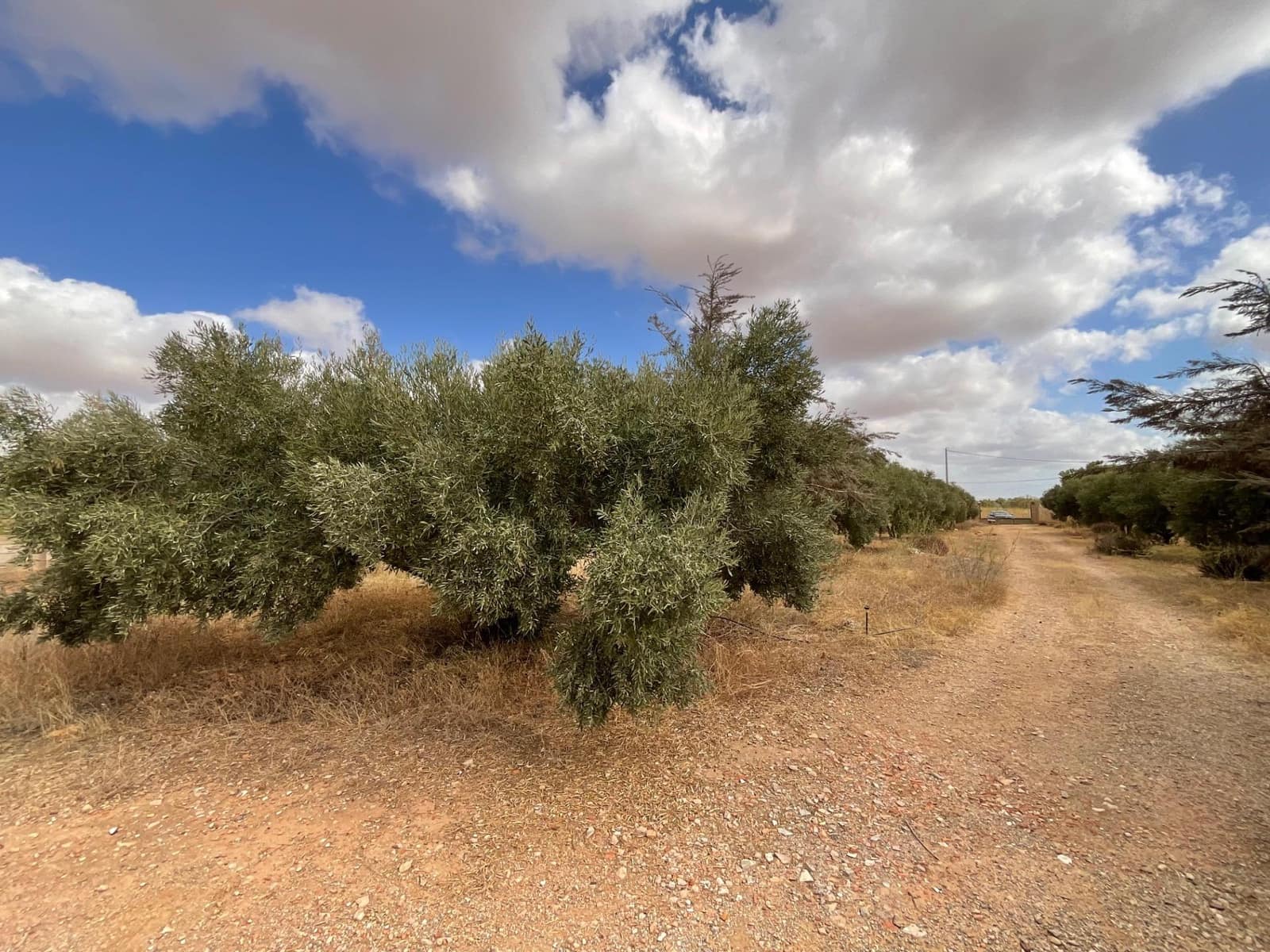 4 bedroom Finca/Country House for sale in La Magdalena with garage - € 304,900 (Ref: 9305184)