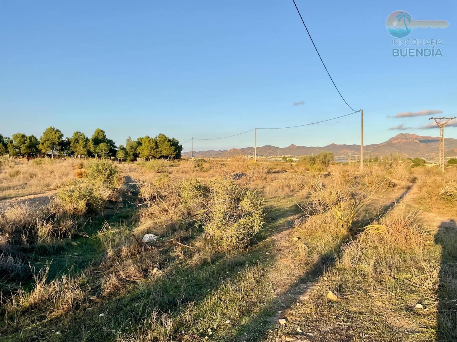 Działka budowlana na sprzedaż w Leiva - 150 000 € (Ref: 9344865)