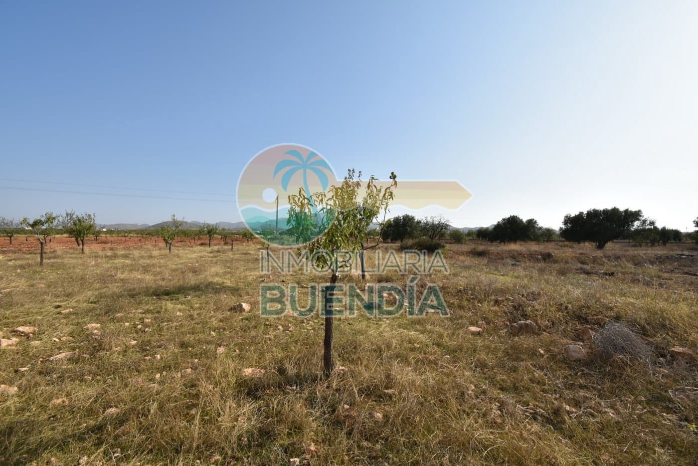 Finca/Hus på landet till salu i La Pinilla - 45 000 € (Ref: 9388007)