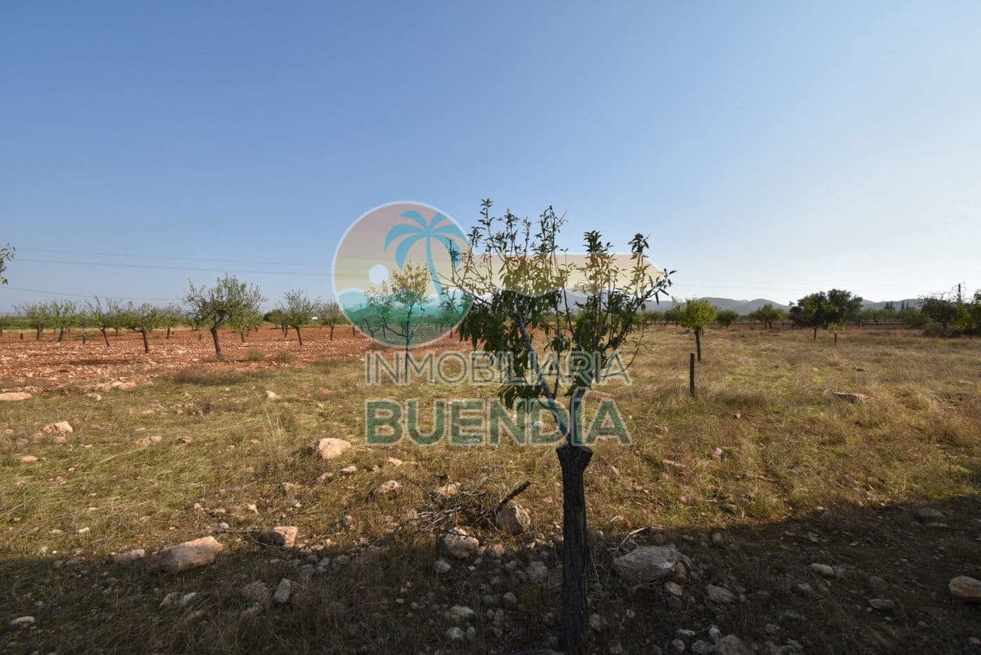 Finca/Hus på landet till salu i La Pinilla - 45 000 € (Ref: 9388007)