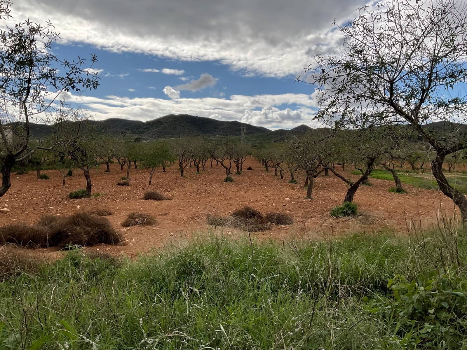 3 sovrum Finca/Hus på landet till salu i Las Palas med garage - 149 995 € (Ref: 9417654)