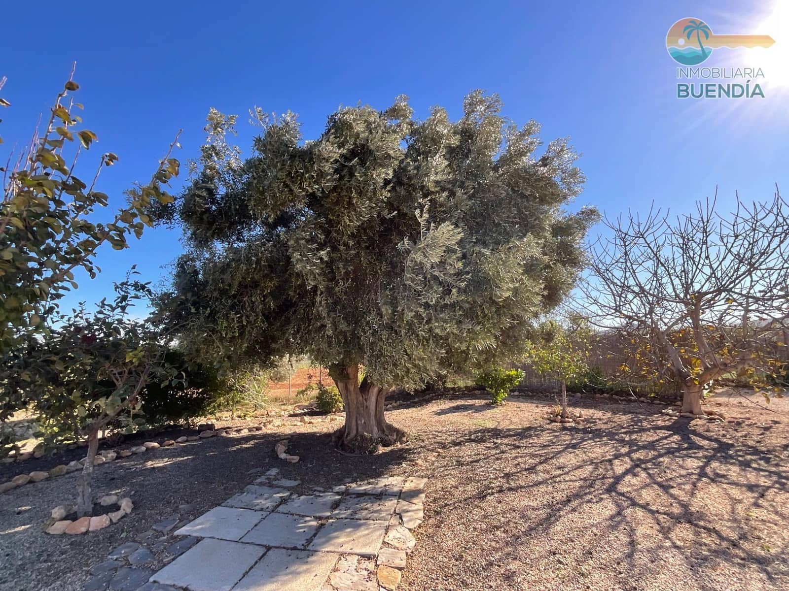 3 sypialnia Finka/Dom wiejski na sprzedaż w Fuente Alamo de Murcia z basenem - 210 000 € (Ref: 9419873)