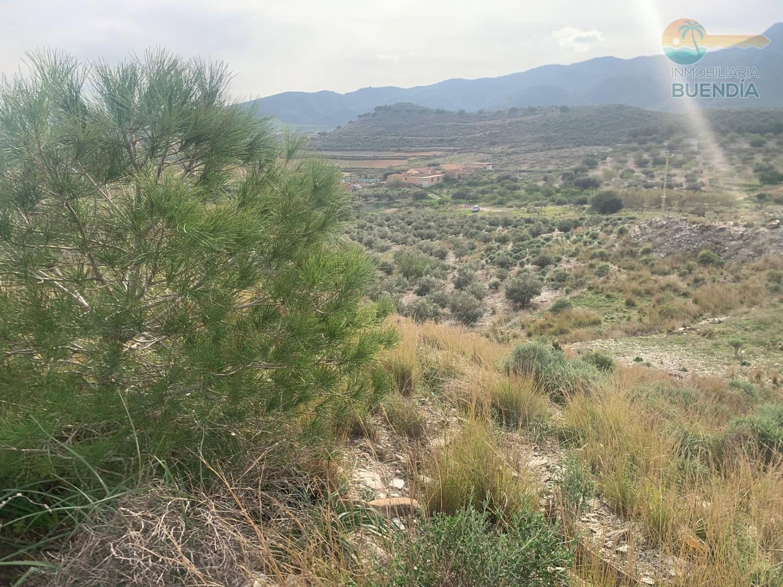 Mark till salu i Cartagena - 95 000 € (Ref: 9470950)