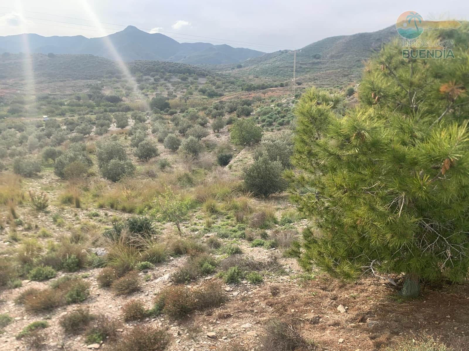 Mark till salu i Cartagena - 95 000 € (Ref: 9470950)