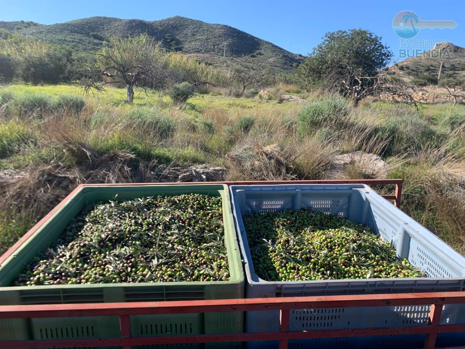 Mark till salu i Cartagena - 95 000 € (Ref: 9470950)