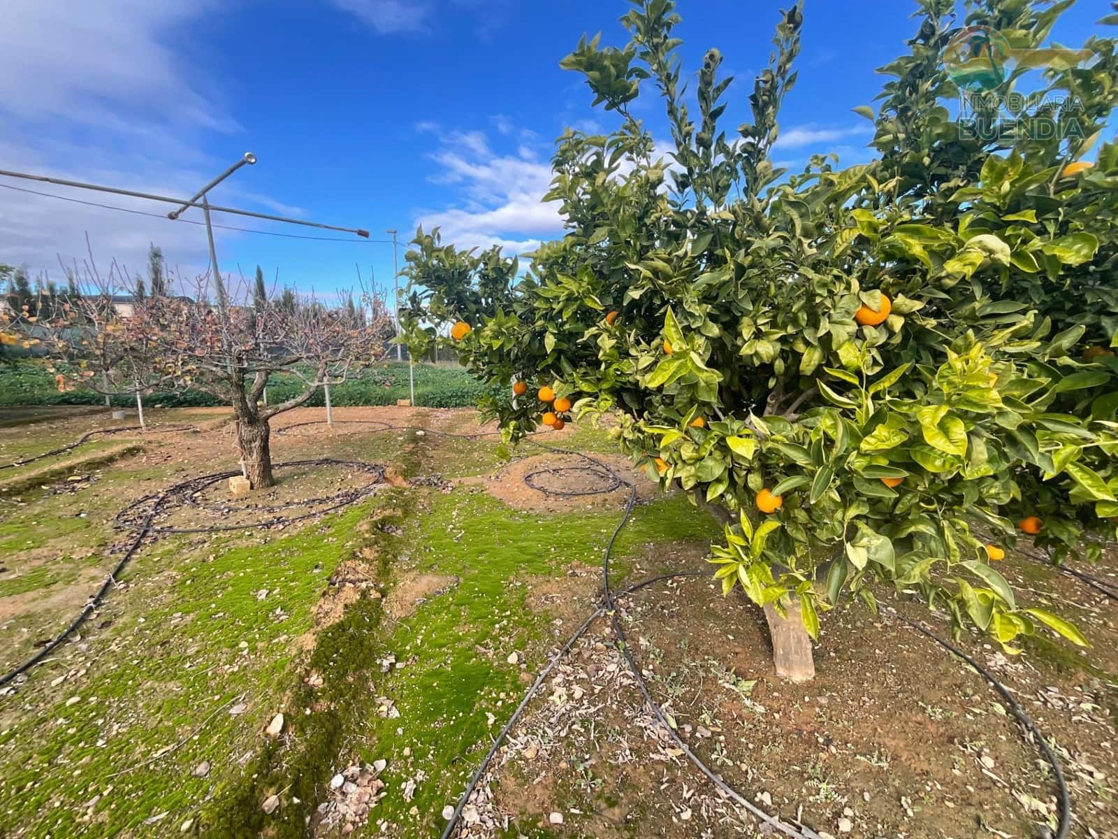 Finka/Dom wiejski na sprzedaż w Las Palas z garażem - 62 000 € (Ref: 9476208)