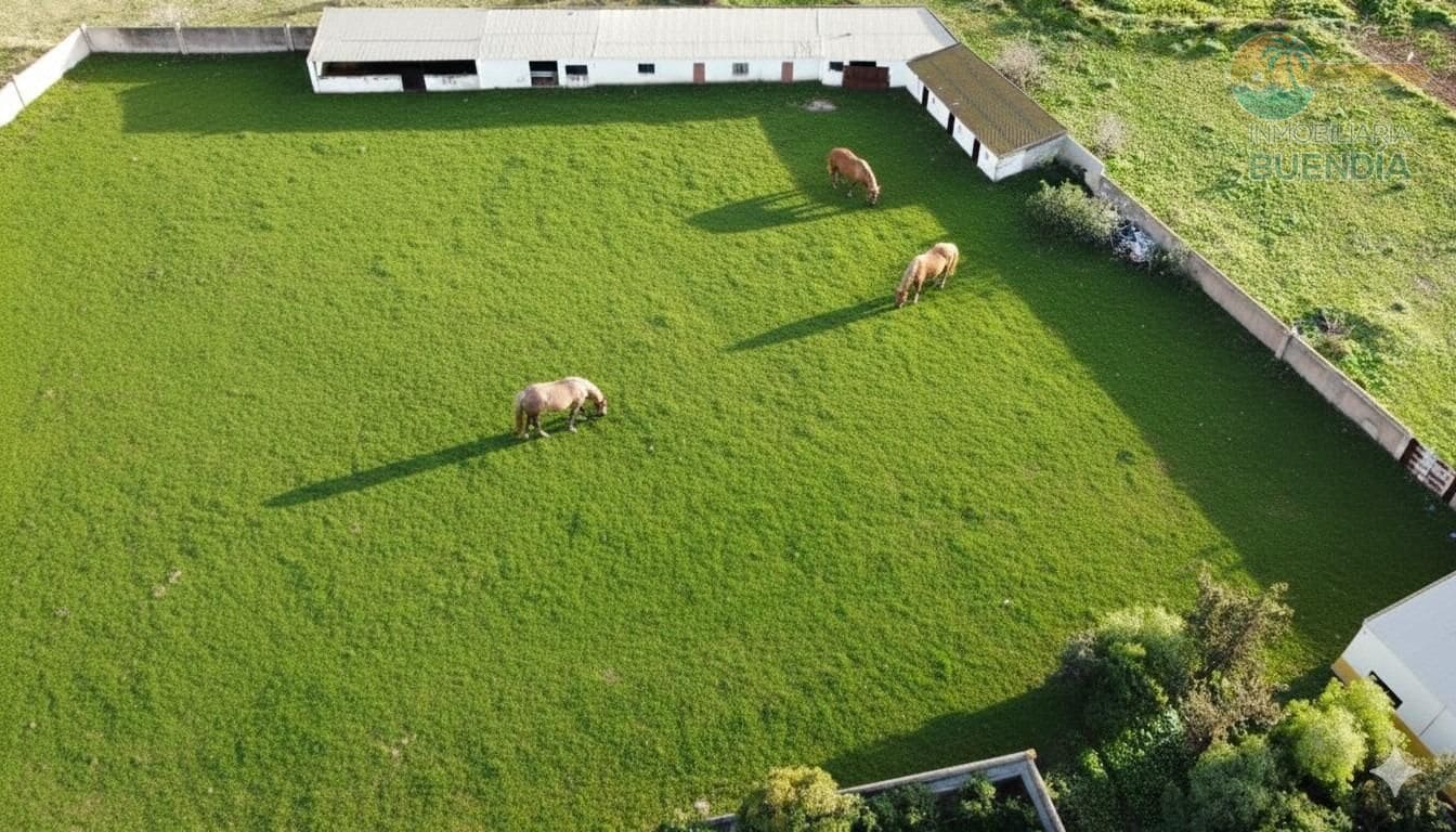 8 makuuhuone Maalaistalo myytävänä paikassa Fuente Alamo de Murcia mukana uima-altaan 
autotalli - 315 000 € (Ref: 9599622)