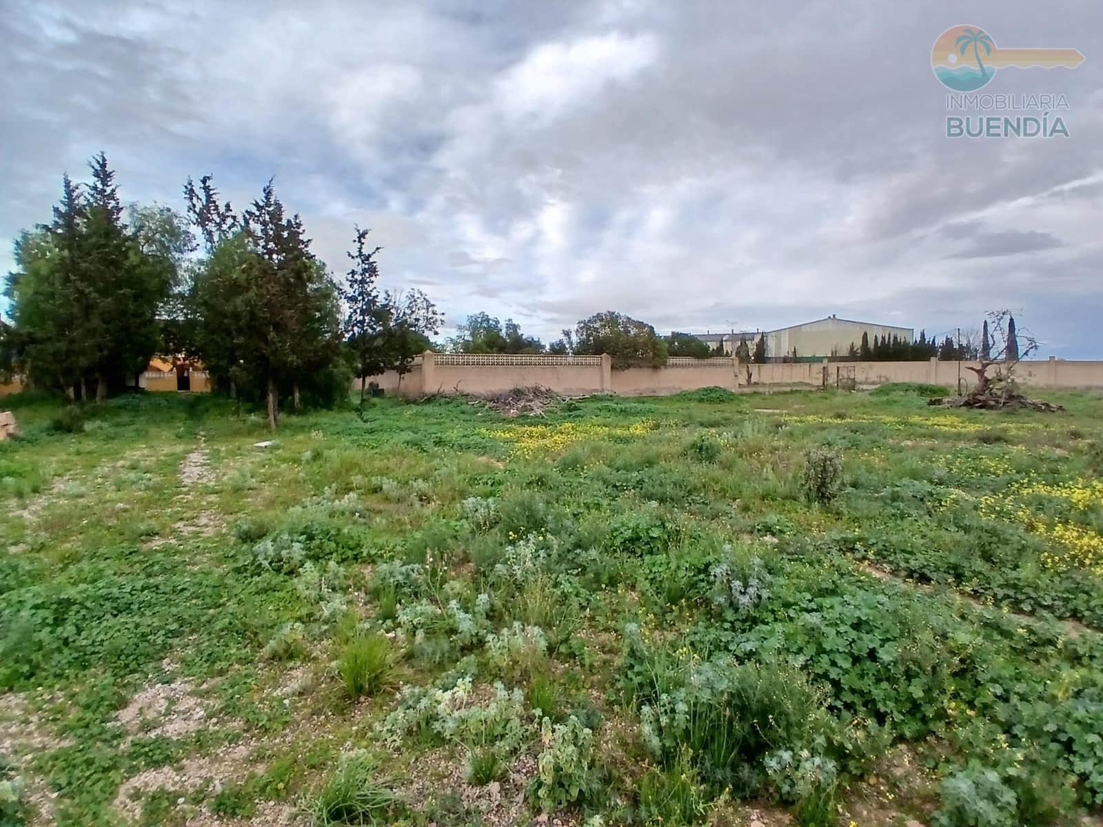 8 makuuhuone Maalaistalo myytävänä paikassa Fuente Alamo de Murcia mukana uima-altaan 
autotalli - 315 000 € (Ref: 9599622)