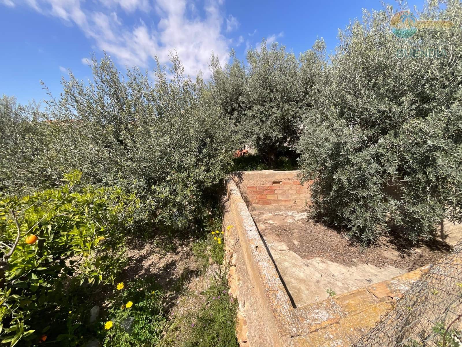 Finca/Casa Rural de 3 habitaciones en Los Canovas en venta - 53.000 € (Ref: 9787575)