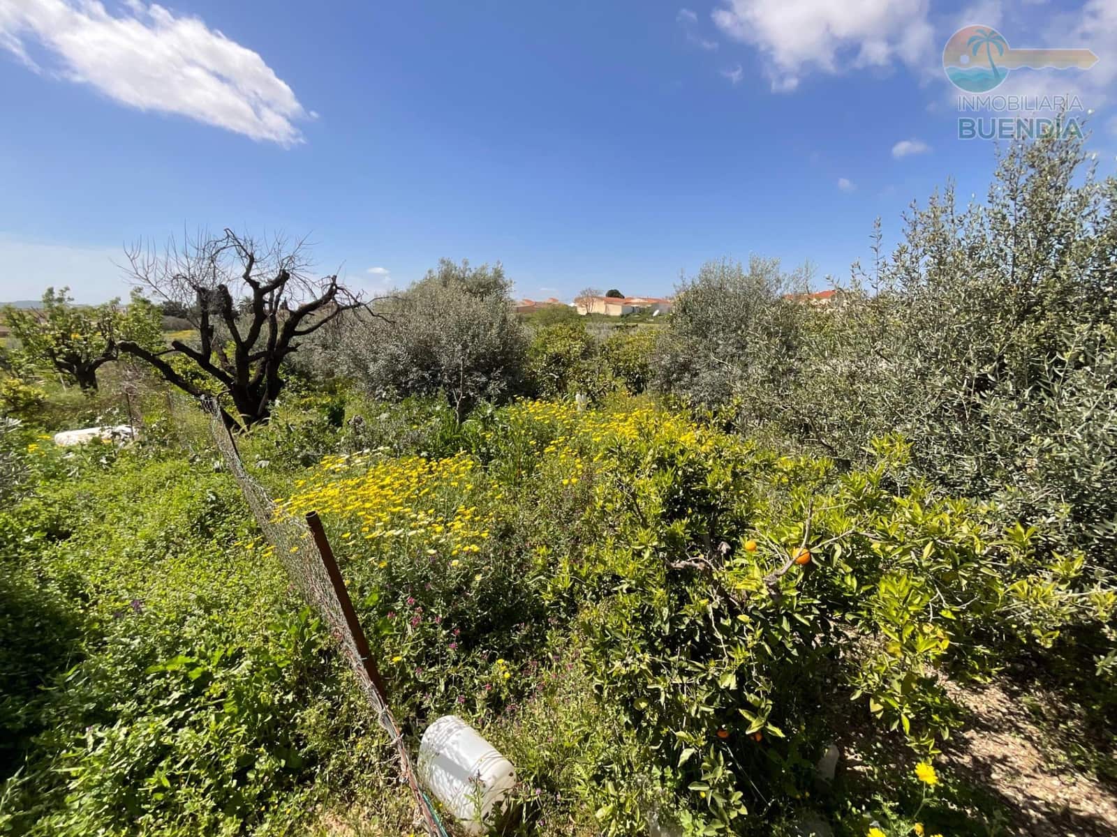 Finca/Casa Rural de 3 habitaciones en Los Canovas en venta - 53.000 € (Ref: 9787575)