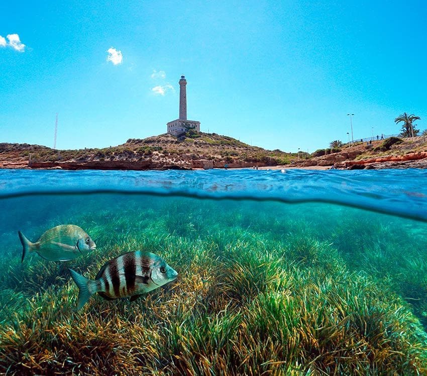 3 soverom Rekkehus til salgs i Santiago de la Ribera - € 350 000 (Ref: 8857252)