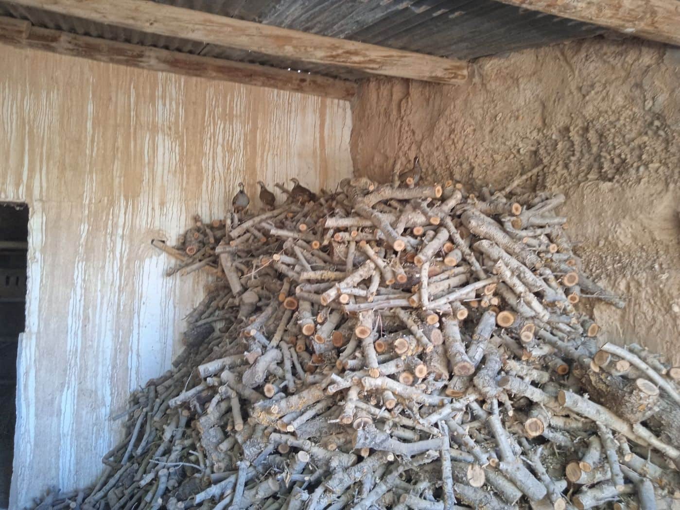 3 soveværelse Finca/Landehus til salg i Freila - € 350.000 (Ref: 8755833)