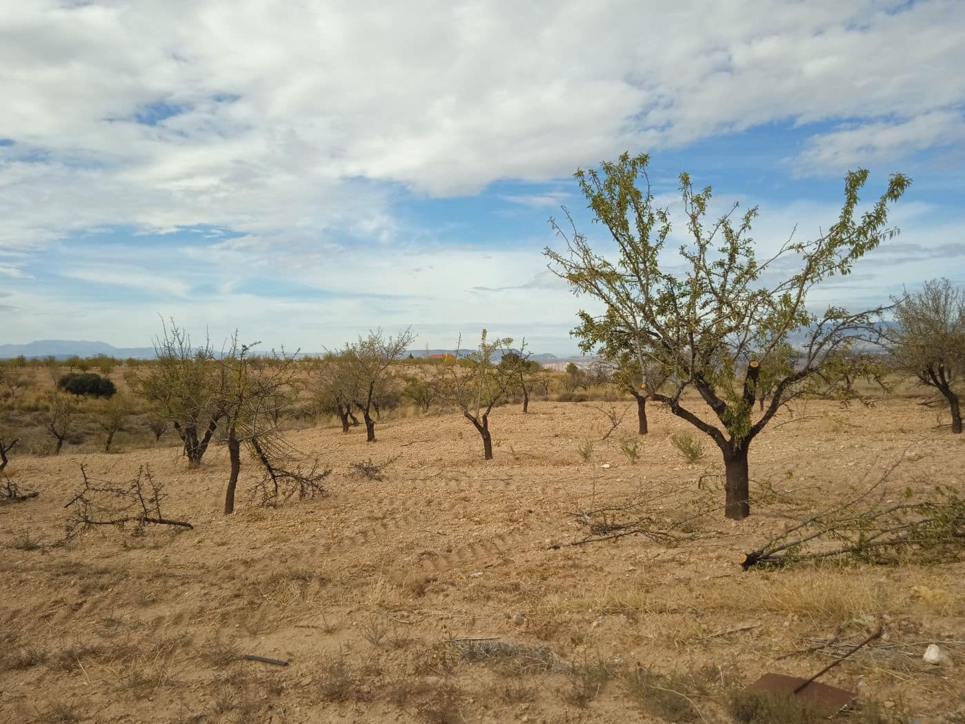 3 soveværelse Finca/Landehus til salg i Freila - € 350.000 (Ref: 8755833)