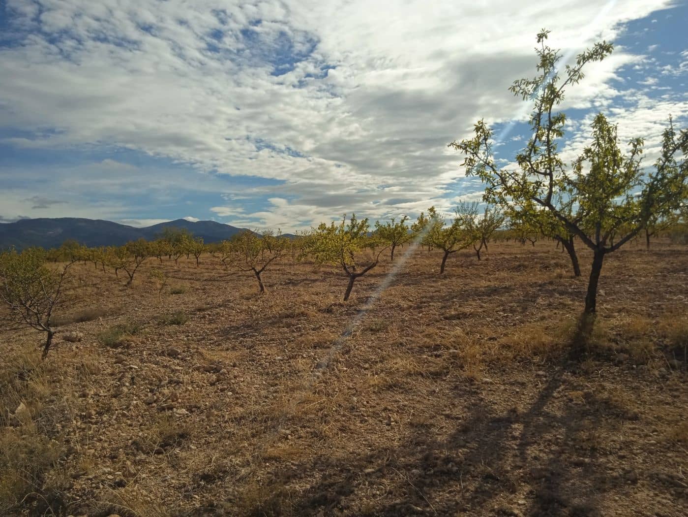 3 soveværelse Finca/Landehus til salg i Freila - € 350.000 (Ref: 8755833)