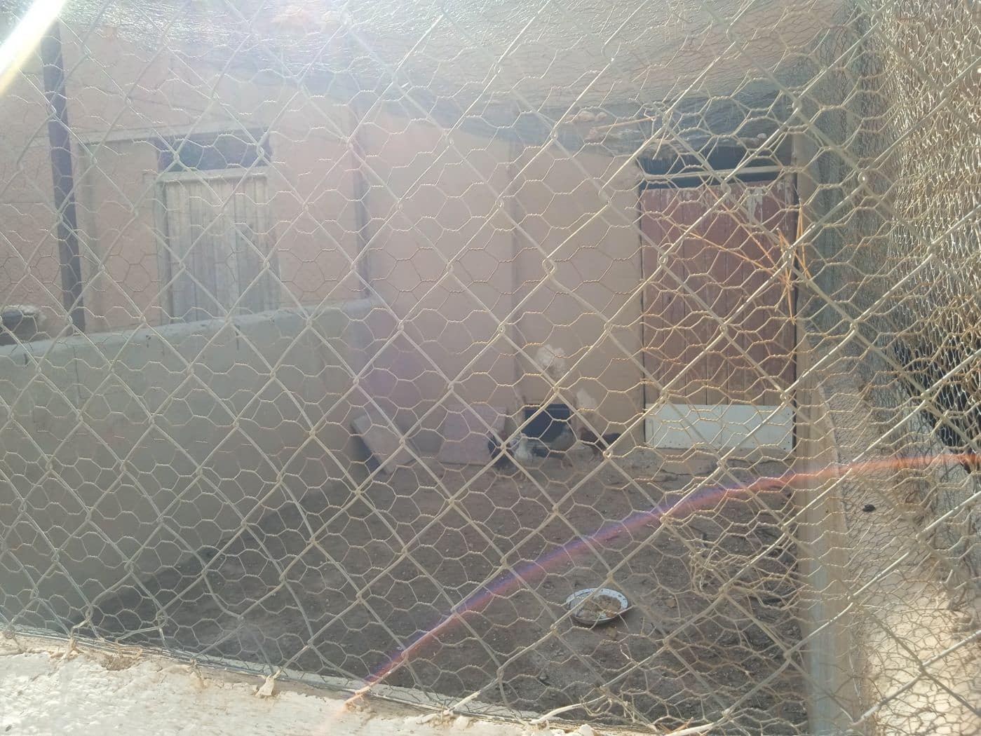 3 soveværelse Finca/Landehus til salg i Freila - € 350.000 (Ref: 8755833)