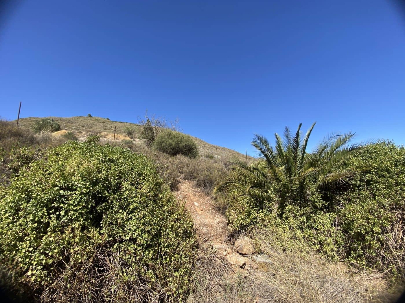 5 soveværelse Finca/Landehus til salg i Lorca - € 165.000 (Ref: 8758134)