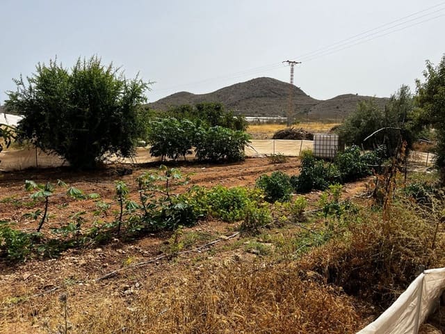 6 slaapkamer Finca/Landhuis te koop in Pastrana, Mazarrón - € 129.999 (Ref: 8758138)