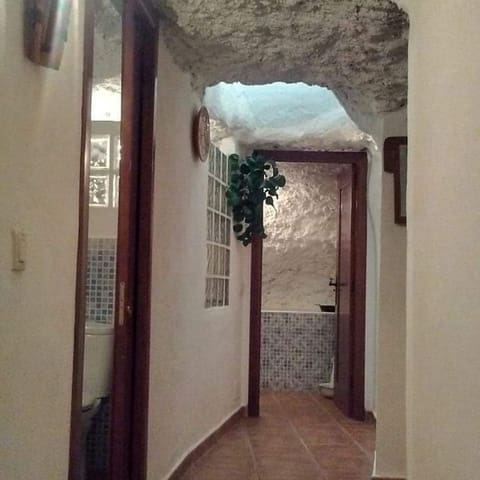 4 bedroom Cave House for sale in Cuevas del Campo - € 319,000 (Ref: 8758171)