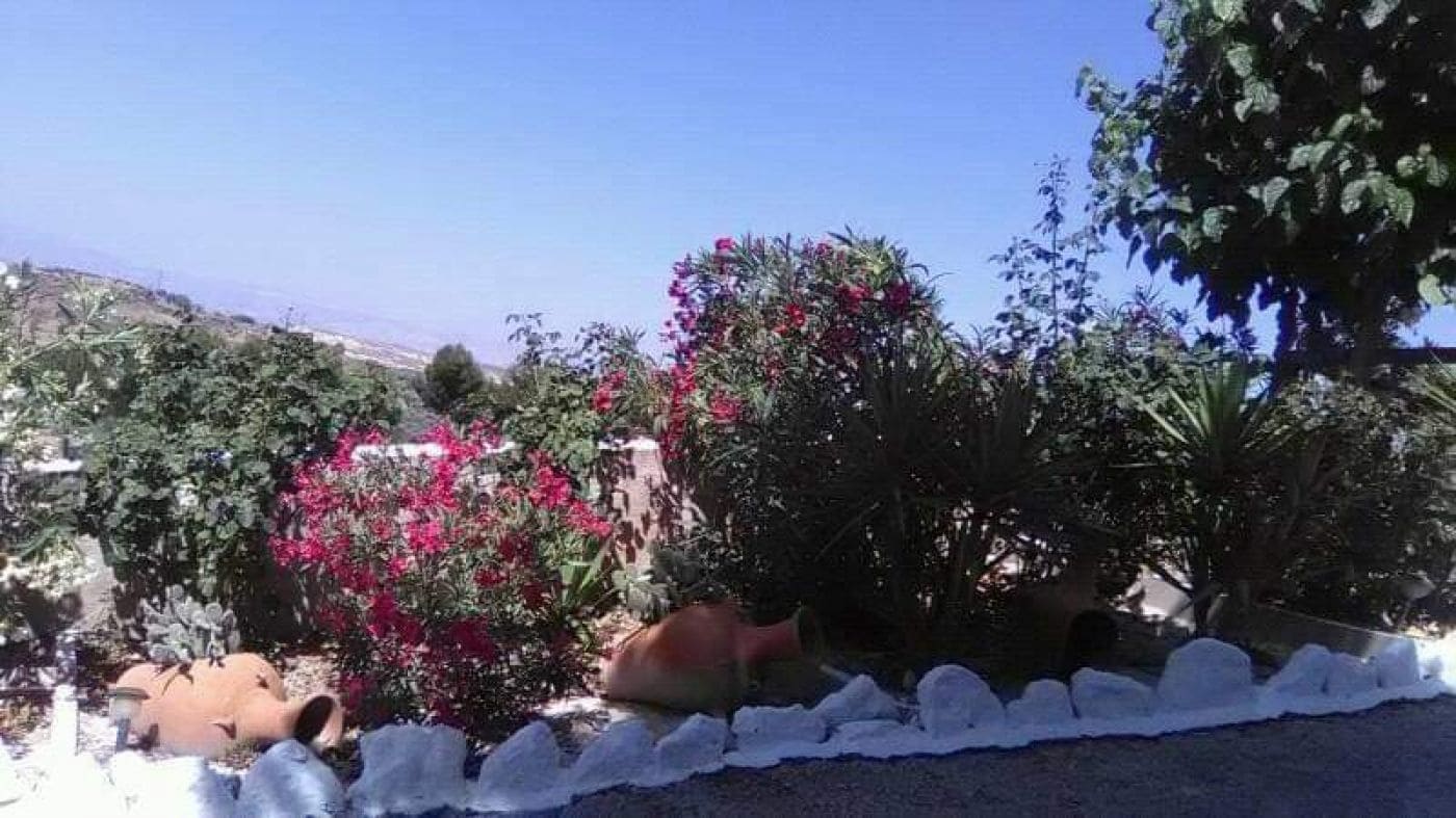 4 soveværelse Hulehus til salg i Cuevas del Campo - € 319.000 (Ref: 8758171)