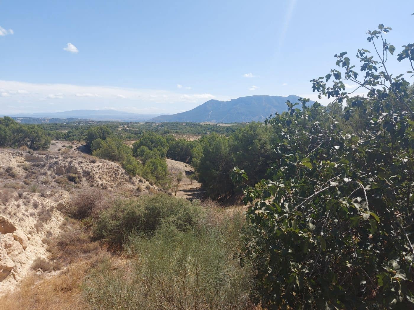 3 soveværelse Hulehus til salg i Cuevas del Campo - € 74.500 (Ref: 8758183)