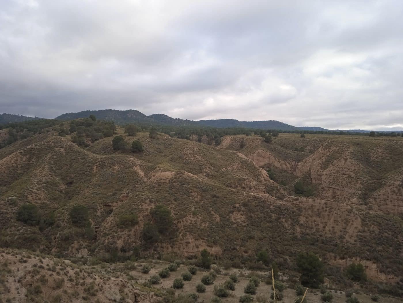 4 soveværelse Finca/Landehus til salg i Beas de Guadix - € 480.000 (Ref: 8758200)